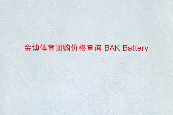 金博体育团购价格查询 BAK Battery
